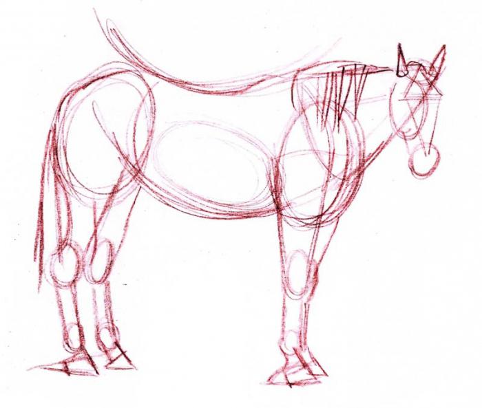 At nasıl çizilir?