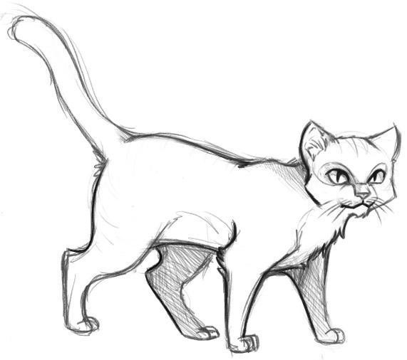 Bir kedi nasıl çizilir - acemi sanatçılar için ipuçları