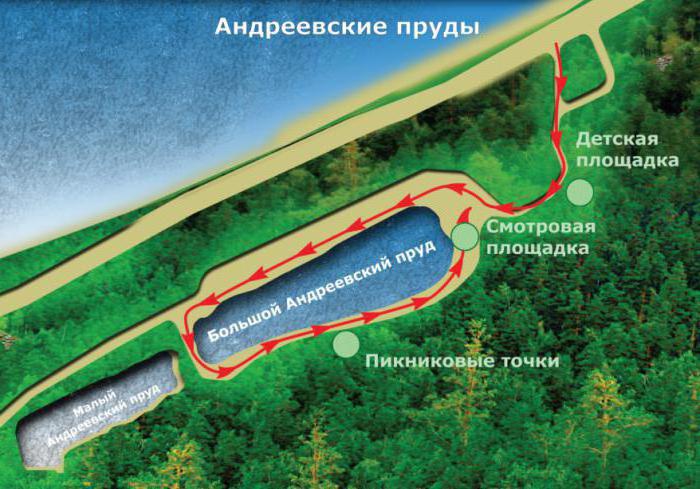 Andreevskie göletler (Saratov): açıklamalar. Oraya nasıl gidilir?