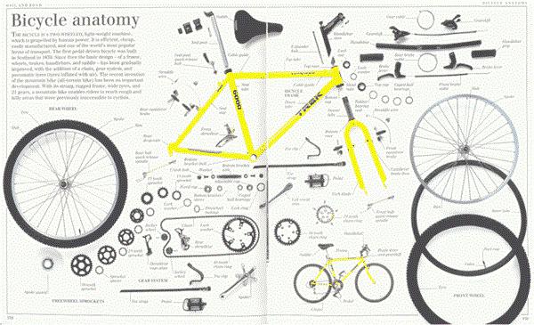 Bisiklet tekerleği en önemli parçalardan biridir
